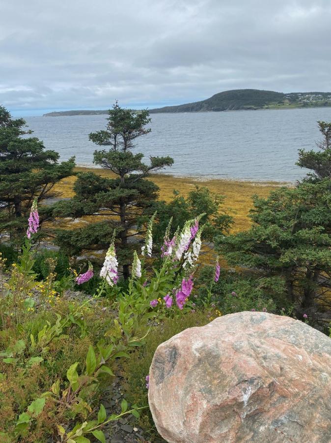 فيلا Rocky Harbour Oceanfront المظهر الخارجي الصورة