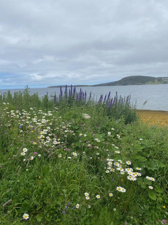 فيلا Rocky Harbour Oceanfront المظهر الخارجي الصورة